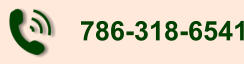786-318-6541